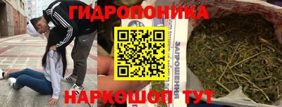 индика Кингисепп