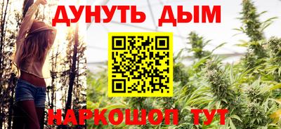 индика Кингисепп