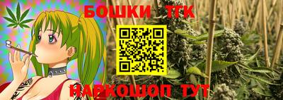 индика Кингисепп
