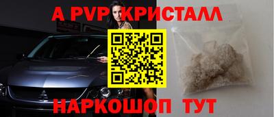 индика Кингисепп