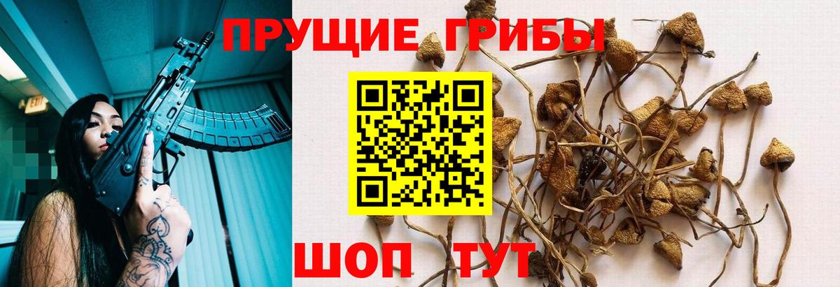 Галлюциногенные грибы MAGIC MUSHROOMS  Вход с VPN  Донецк 